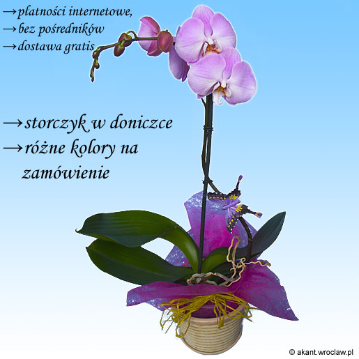 &nbsp;Zdj�cie produktu&nbsp;