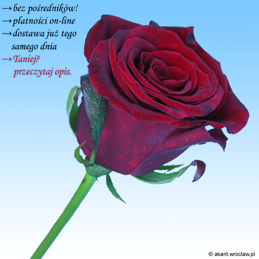 &nbsp;Zdj�cie produktu&nbsp;