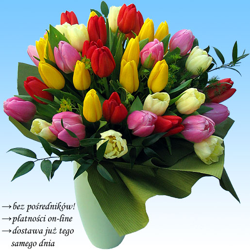 &nbsp;Zdj�cie produktu&nbsp;