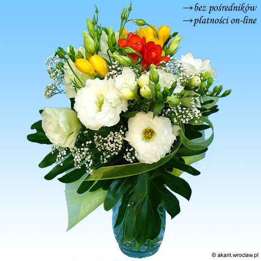 &nbsp;Zdj�cie produktu&nbsp;