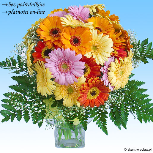 &nbsp;Zdj�cie produktu&nbsp;